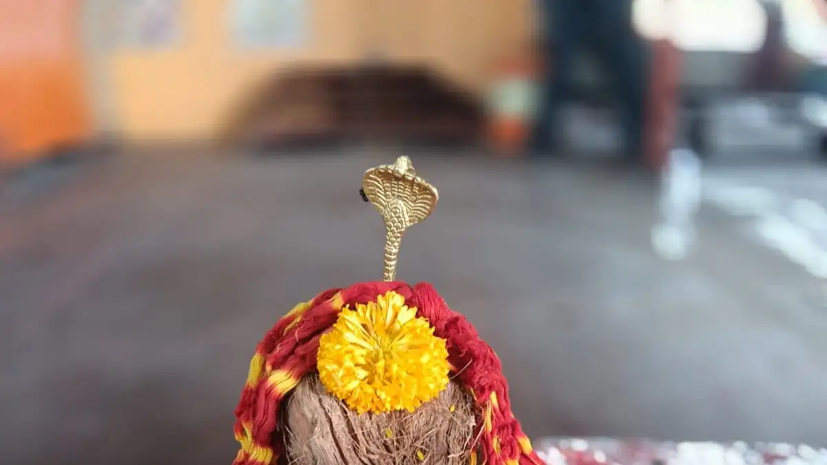 Grahan Dosh Nivaran Puja
