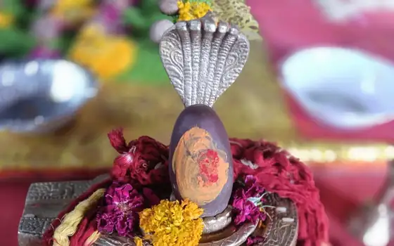 Laghu Rudra / Maha Rudrabhishek