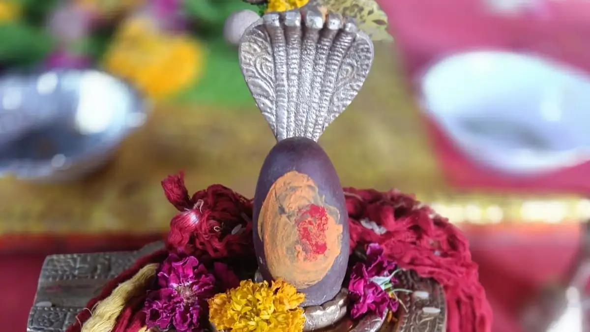 Laghu Rudra / Maha Rudrabhishek
