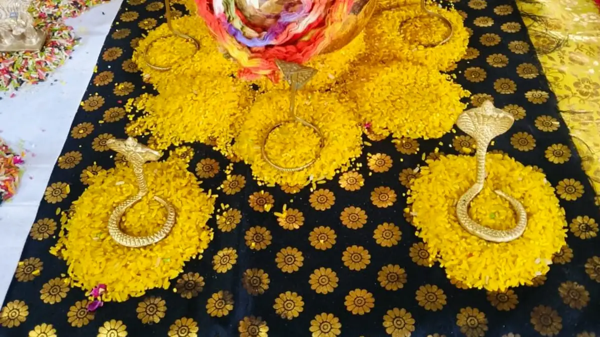 Kumbh Vivah / Ark Vivah for Manglik Dosh